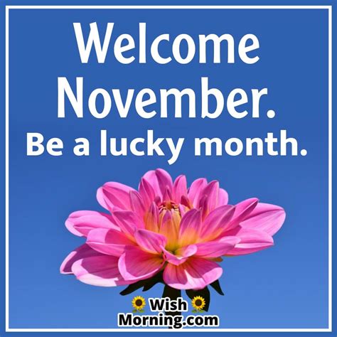 November Month Wishes And Quotes To Spread Joy And Positivity Wish
