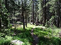 Murphy Creek Trail, Tioga Road, Yosemite National Park, California