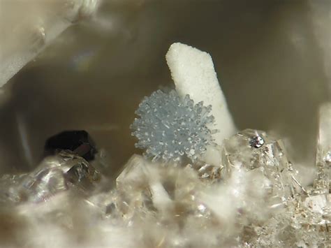 Mineralatlas Lexikon - Sellaite (english Version)