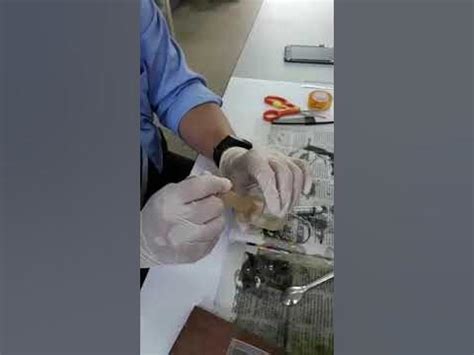 membancuh epoxy resin  hardener youtube