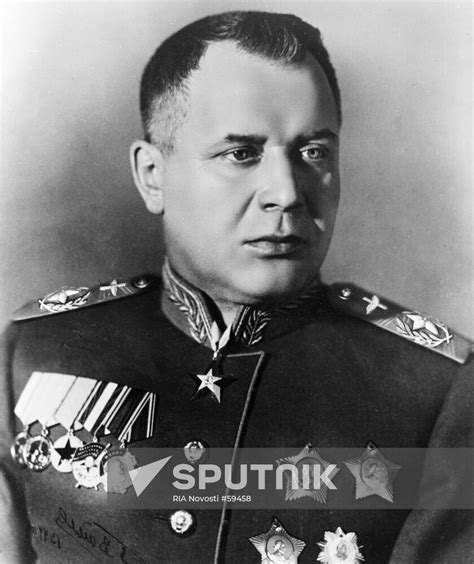 NOVIKOV | Sputnik Mediabank