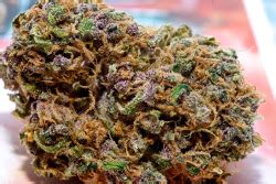 Thingsstonerslike Pink Panther Porn Photo Pics