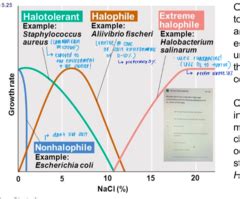 Microbiology Ch 5 Microbial Growth Exam 3 Quizlet