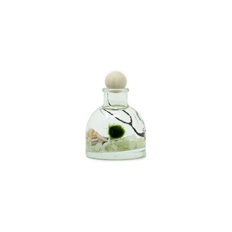 Marimo Moss Ball Etsy