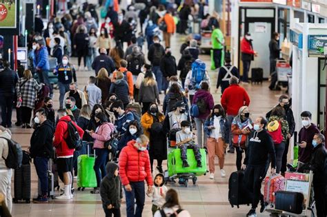 Aerofobia Así Trabajan Los Perros Entrenados Para Asistir A Personas Con Estrés Antes Del Vuelo