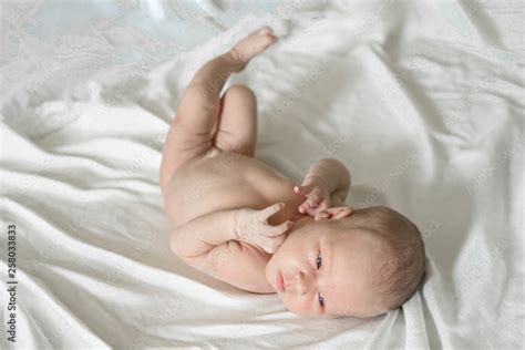 Newborn Naked Baby Girl On White Background Stock Photo Adobe Stock