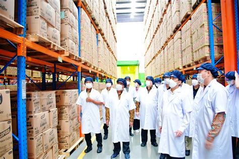 lastest news mayora indah