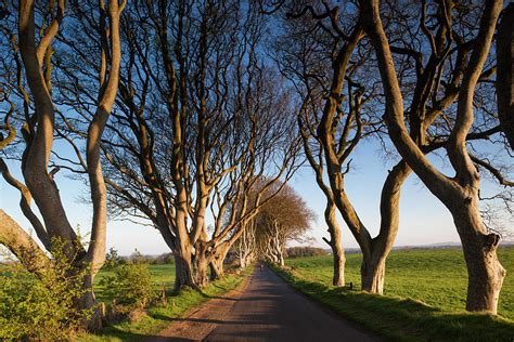 Ireland, County Antrim, Ballymoney Photograph by Walter Bibikow