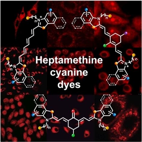 NearInfrared Fluorophores Based On Heptamethine Cyanine Dyes From