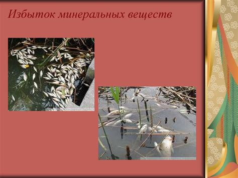 Калийные удобрения. Роль питательного элемента для растений ...