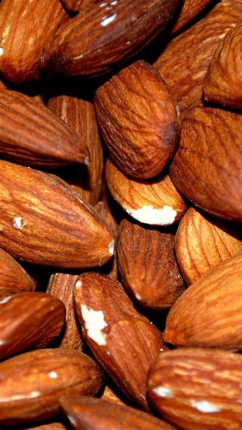 9 Manfaat Kacang Almond Untuk Promil Efektif Tingkatkan Peluang Hamil