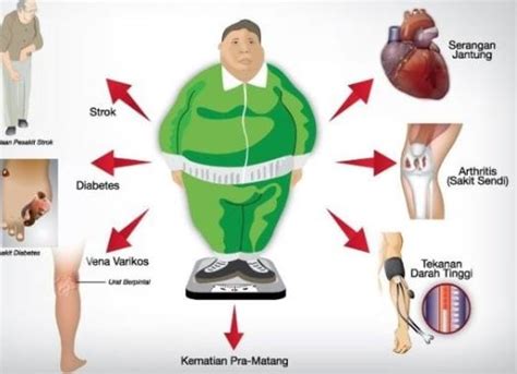 mudah menurunkan berat badan  diet  olahraga