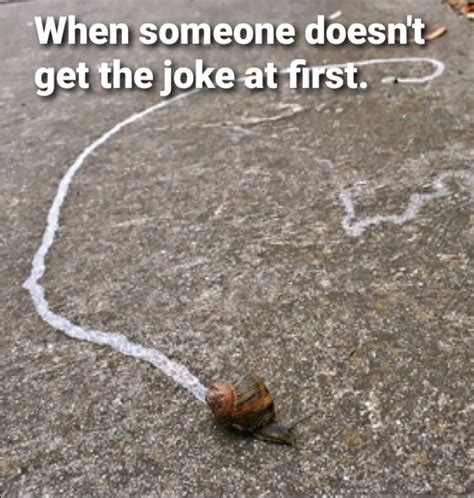 The best snail memes :) Memedroid