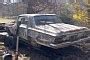 Youtuber Restores Plymouth Savoy With A Couple Of Spray Cans And