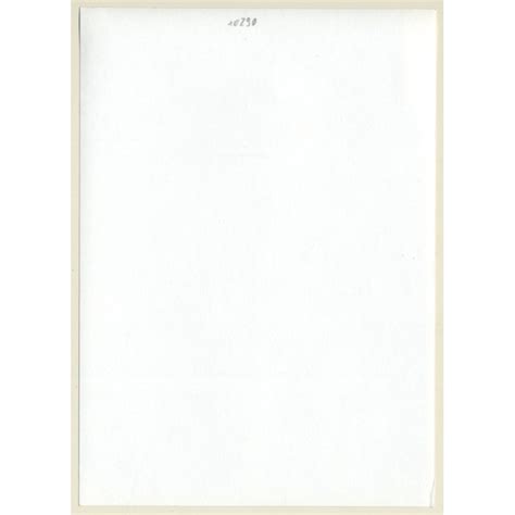 Tall Slim Shorthaired Semi Nude 5 Vintage Photo GDR 1980s