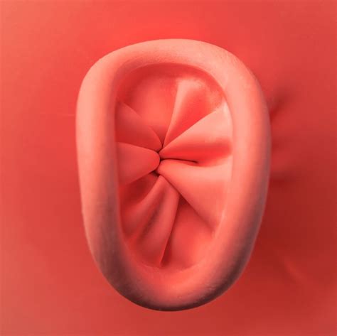 Plicoma Anal Dra Poliana Testa