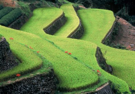 茶の文化館 体験プラン 【公式】福岡県の観光旅行情報サイト「クロスロードふくおか」