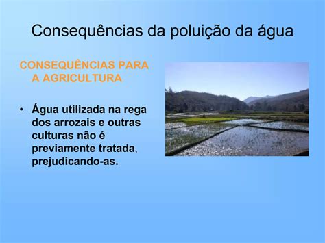 Poluição da agua | PPT
