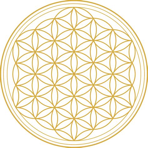 The Flower Of Life—junction Point Between Mind And Matter And What It