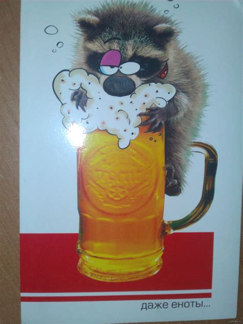 Даже еноты... | Пикабу