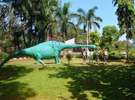 is wild animal park open today 14