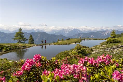 The Best Hikes in Carinthia, Austria - Active-Traveller