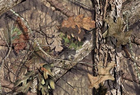 Licensing | Mossy Oak