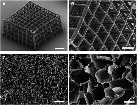 SEM characterization of fabricated scaffolds. A,B) Ormocomp ordered ...