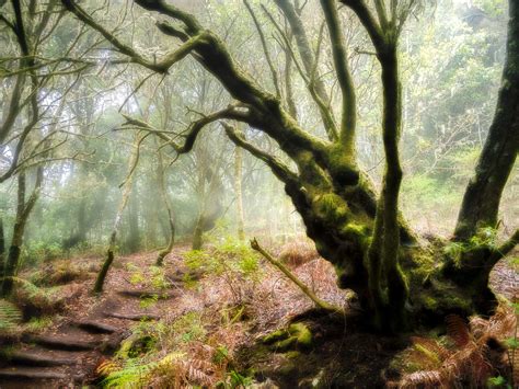 Hiking pathes, La Gomera on Behance