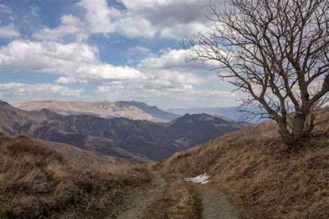 Crossing the Georgia-Armenia Border by Marshrutka