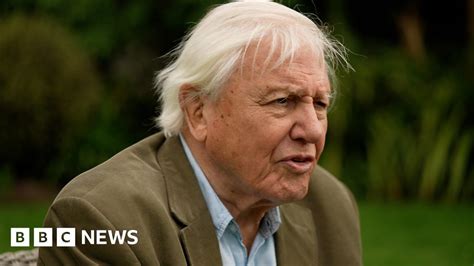 Sir David Attenborough Urges Nations To Take Climate Action BBC News