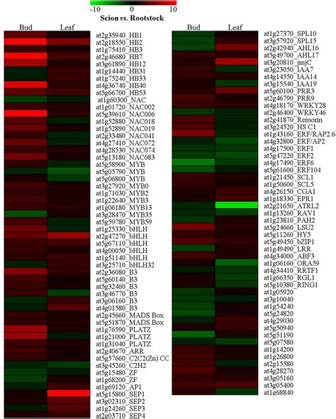 A heatmap of differentially expressed transcripts related to ...