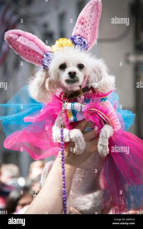 Easter parade hi-res stock photography and images - Alamy