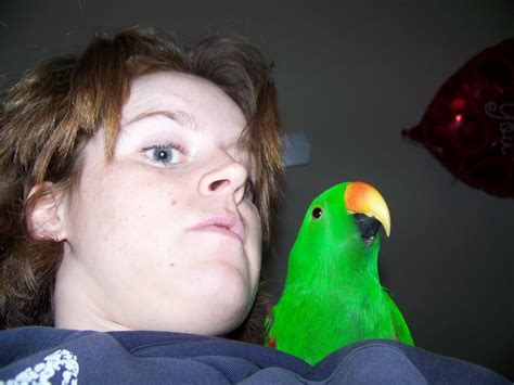 Amateur Photos Porn Pic