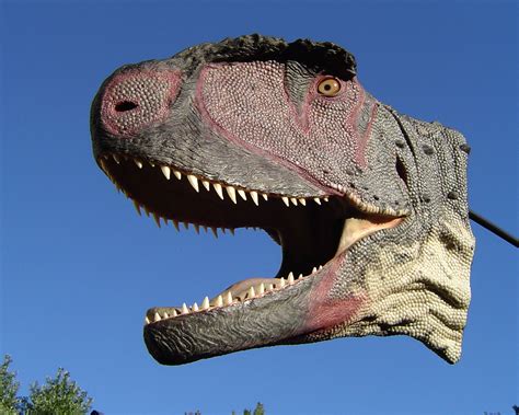 Rugops Paul Sereno Paleontologist The University Of Chicago