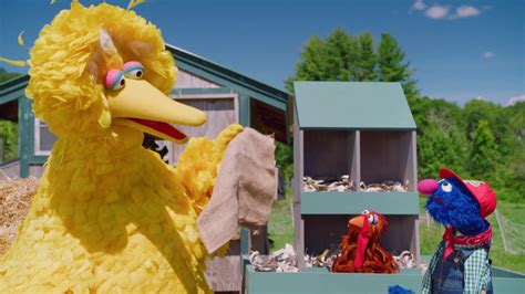 Sesame Street S52e28 Chickens On The Farm Crave