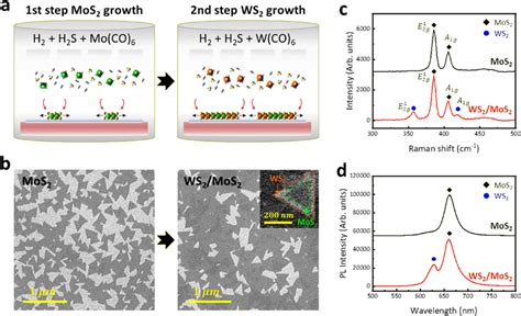 Growth And Characterization Of Mos2 And Laterally Heterostructured Download Scientific Diagram