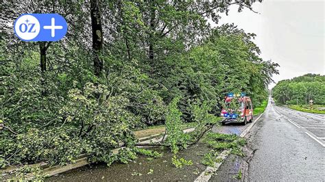 Sturm Und Regen Auf R Gen B Ume St Rzen Auf Stromleitung Und Bahngleise