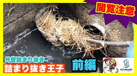 【詰まり抜き】排水管から出てきたのは大量の根っこ！根こそぎ取り除きました！職人による高圧洗浄で排水管をきれいに掃除！すっきり！[drain ...