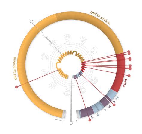 Tracking Omicron And Other Coronavirus Variants The New York Times