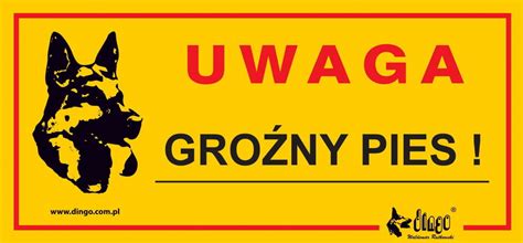 DINGO tabliczka ostrzegawcza UWAGA GROŹNY PIES Sklep zoologiczny ZooArt