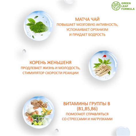Neuro-Fit витамины для мозга Green Leaf Formula для нервной системы ...
