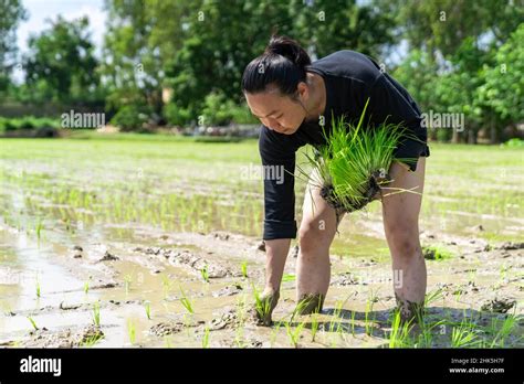 Amateur Asian Hi Res Stock Photography And Images Alamy