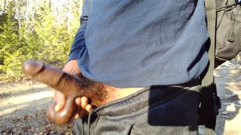 BBC暴露狂射精远足时抚摸我THICK的黑肉按摩我丰满的球 Pornhub Gay