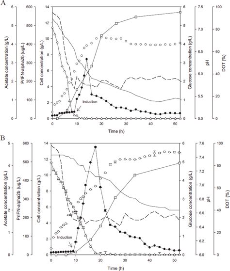 The time course of recombinant E. coli fermentation for the production ...