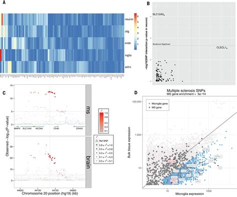 Multiple Sclerosis Genomic Map Implicates Peripheral Immune Cells And