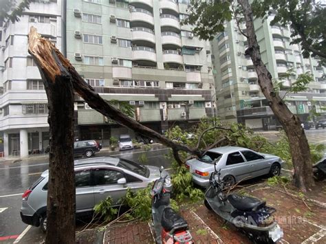 杜蘇芮來襲 高雄逾4萬戶停電、259棵路樹傾倒 地方 中央社 Cna