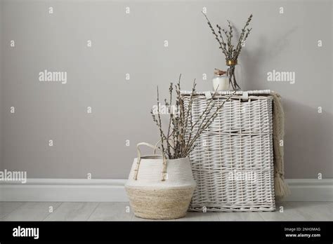 Fresh Pussy Willow Branches And Wicker Baskets Indoors Space For Text Stock Photo Alamy