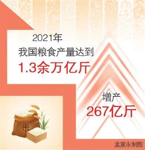 中央一号文件精神解读②丨硬措施保护耕地 严守粮食安全底线