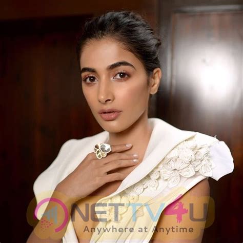 Actress Pooja Hegde Hot And Sexy Images 527987 Galleries HD Images